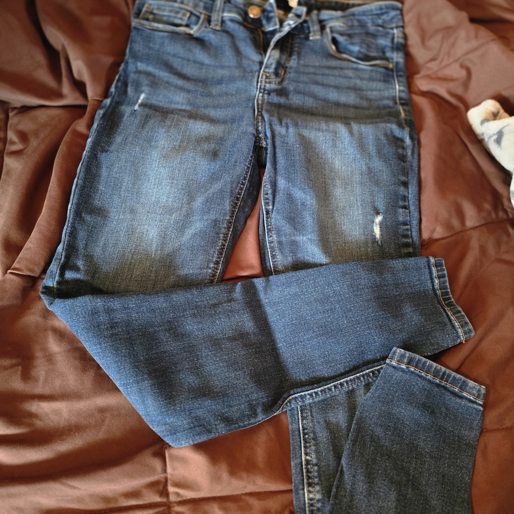 Classic Blue Straight Leg Jeans for Women